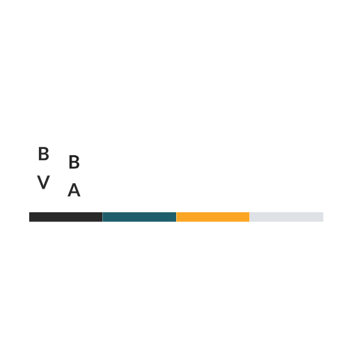 BIZ LEads