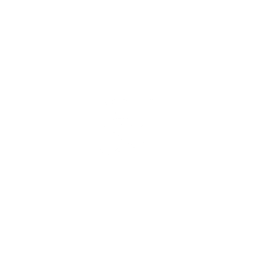 BIZ PARTNER LOGO'S